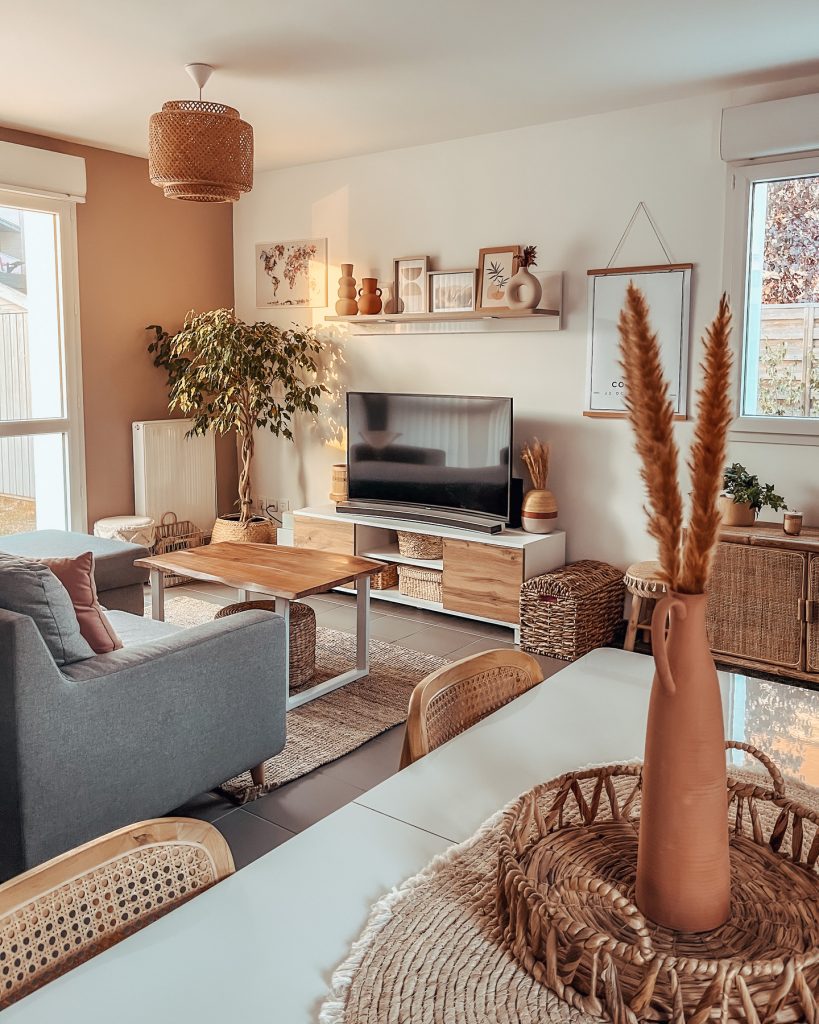 decoration interieur salon